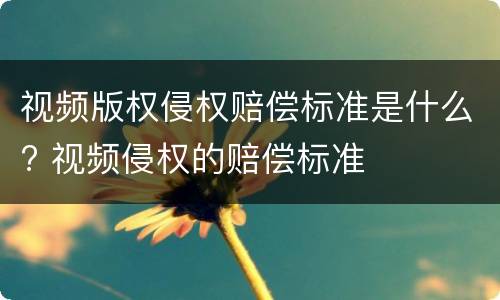 视频版权侵权赔偿标准是什么? 视频侵权的赔偿标准