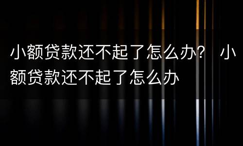 小额贷款还不起了怎么办？ 小额贷款还不起了怎么办
