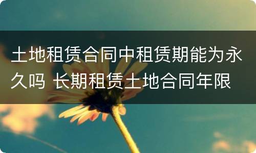 土地租赁合同中租赁期能为永久吗 长期租赁土地合同年限
