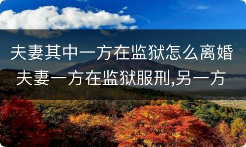 夫妻其中一方在监狱怎么离婚 夫妻一方在监狱服刑,另一方可以申请办理离婚手续吗?