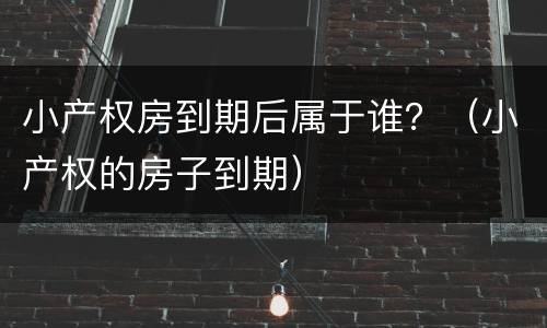 小产权房到期后属于谁？（小产权的房子到期）