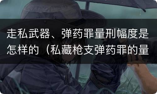 走私武器、弹药罪量刑幅度是怎样的（私藏枪支弹药罪的量刑标准）