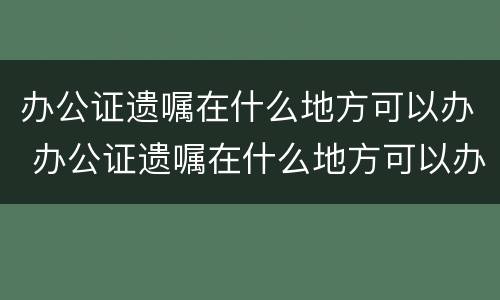 办公证遗嘱在什么地方可以办 办公证遗嘱在什么地方可以办理