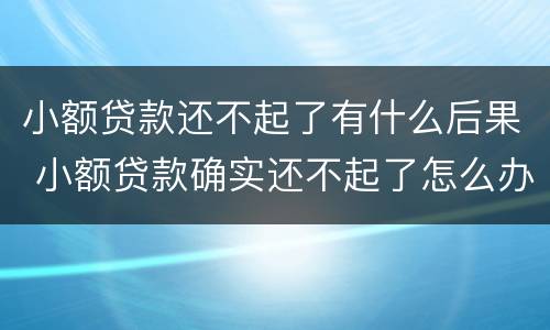小额贷款还不起了有什么后果 小额贷款确实还不起了怎么办