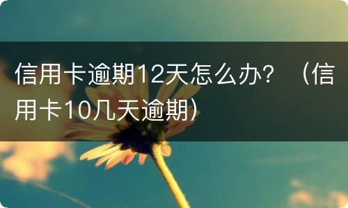 信用卡逾期12天怎么办？（信用卡10几天逾期）