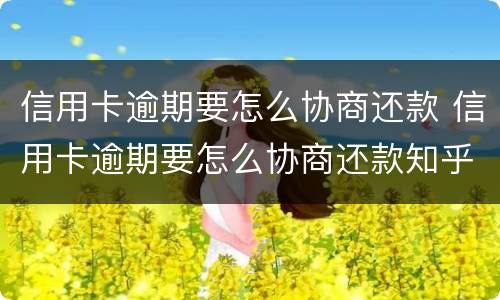 信用卡逾期要怎么协商还款 信用卡逾期要怎么协商还款知乎