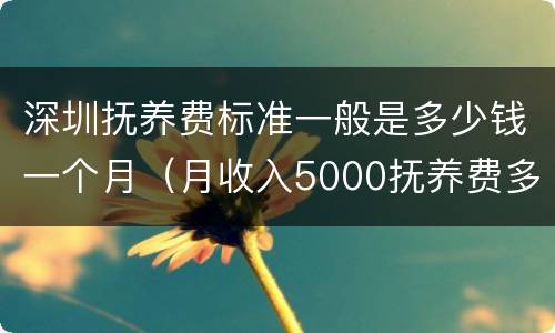 深圳抚养费标准一般是多少钱一个月（月收入5000抚养费多少）
