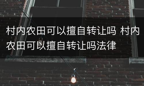 村内农田可以擅自转让吗 村内农田可以擅自转让吗法律