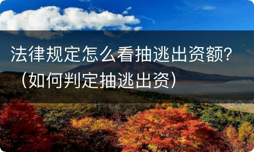 法律规定怎么看抽逃出资额？（如何判定抽逃出资）