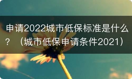 申请2022城市低保标准是什么？（城市低保申请条件2021）