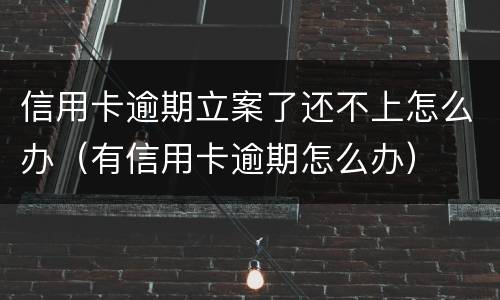 信用卡逾期立案了还不上怎么办（有信用卡逾期怎么办）