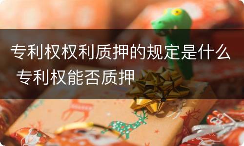 专利权权利质押的规定是什么 专利权能否质押