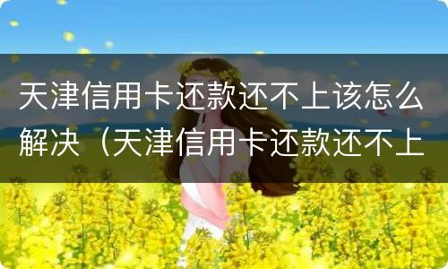 天津信用卡还款还不上该怎么解决（天津信用卡还款还不上该怎么解决办法）