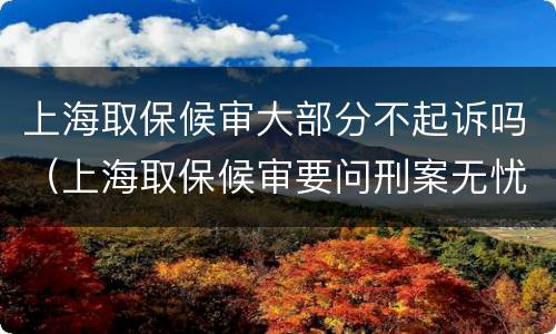 上海取保候审大部分不起诉吗（上海取保候审要问刑案无忧）