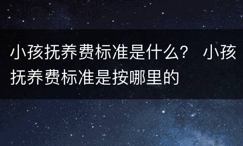 小孩抚养费标准是什么？ 小孩抚养费标准是按哪里的
