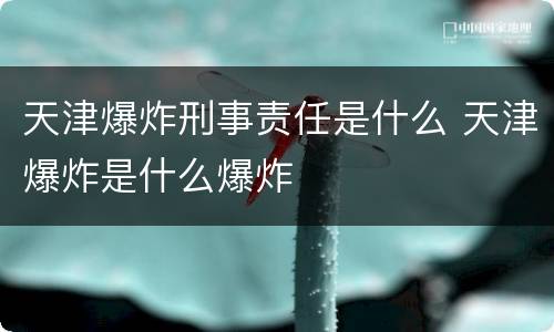 天津爆炸刑事责任是什么 天津爆炸是什么爆炸