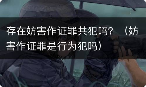 存在妨害作证罪共犯吗？（妨害作证罪是行为犯吗）
