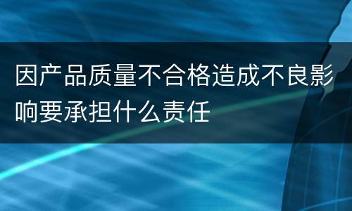因产品质量不合格造成不良影响要承担什么责任