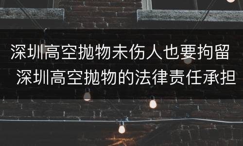 深圳高空抛物未伤人也要拘留 深圳高空抛物的法律责任承担