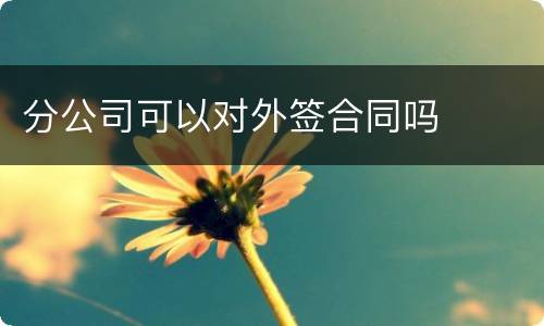 分公司可以对外签合同吗