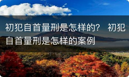 初犯自首量刑是怎样的？ 初犯自首量刑是怎样的案例