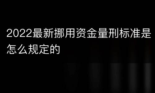 2022最新挪用资金量刑标准是怎么规定的