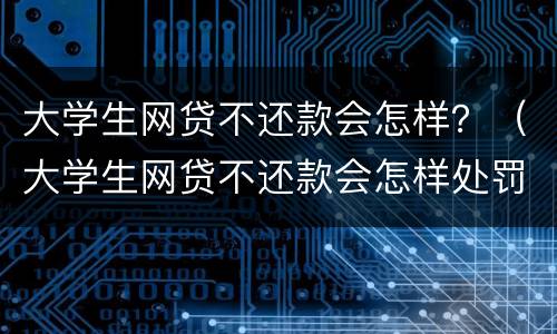 大学生网贷不还款会怎样？（大学生网贷不还款会怎样处罚）