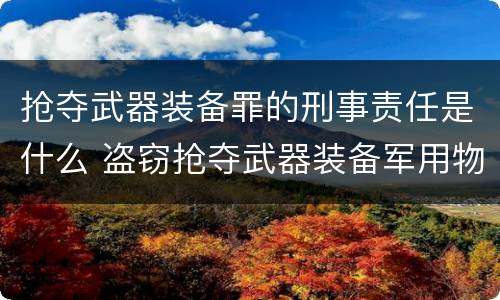 抢夺武器装备罪的刑事责任是什么 盗窃抢夺武器装备军用物资罪
