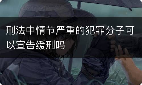 刑法中情节严重的犯罪分子可以宣告缓刑吗