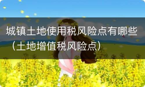城镇土地使用税风险点有哪些（土地增值税风险点）