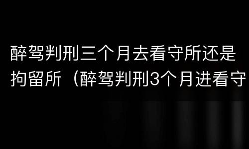 醉驾判刑三个月去看守所还是拘留所（醉驾判刑3个月进看守所可以探视吗）