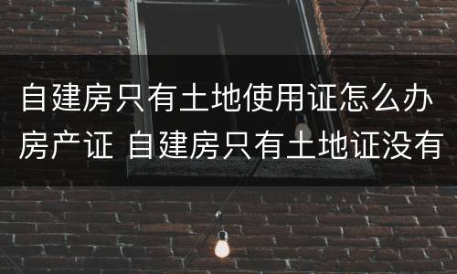 自建房只有土地使用证怎么办房产证 自建房只有土地证没有房产证可以卖吗