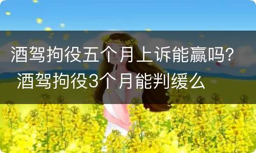 酒驾拘役五个月上诉能赢吗？ 酒驾拘役3个月能判缓么