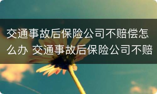交通事故后保险公司不赔偿怎么办 交通事故后保险公司不赔偿怎么办呢