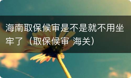 海南取保候审是不是就不用坐牢了（取保候审 海关）