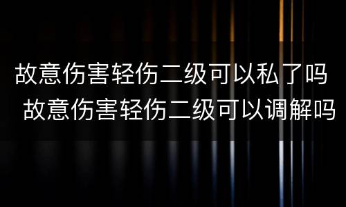 故意伤害轻伤二级可以私了吗 故意伤害轻伤二级可以调解吗