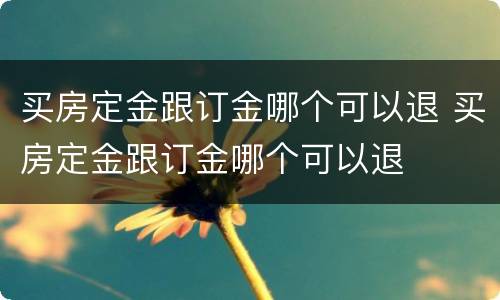 买房定金跟订金哪个可以退 买房定金跟订金哪个可以退