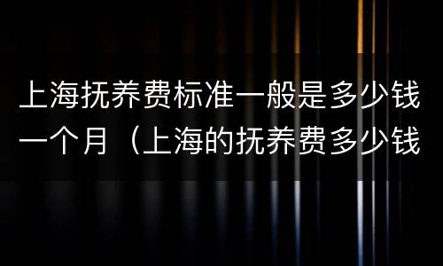 上海抚养费标准一般是多少钱一个月（上海的抚养费多少钱一个月）