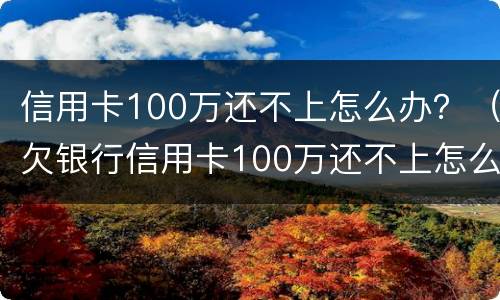 信用卡100万还不上怎么办？（欠银行信用卡100万还不上怎么办）