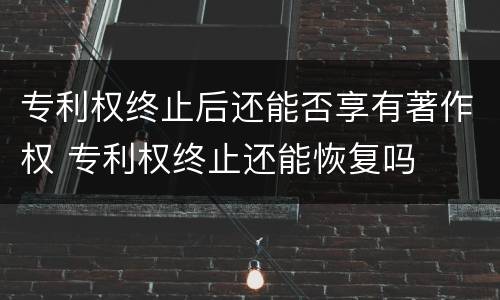 专利权终止后还能否享有著作权 专利权终止还能恢复吗