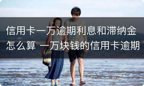 信用卡一万逾期利息和滞纳金怎么算 一万块钱的信用卡逾期的利息怎么算