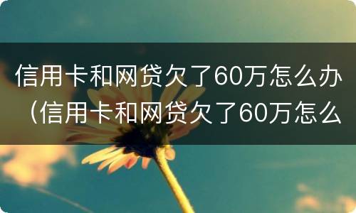 信用卡和网贷欠了60万怎么办（信用卡和网贷欠了60万怎么办呢）