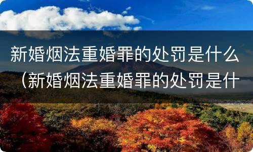 新婚烟法重婚罪的处罚是什么（新婚烟法重婚罪的处罚是什么标准）
