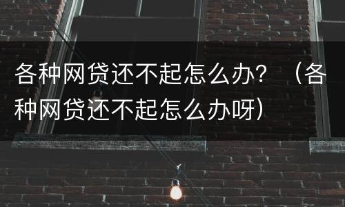 各种网贷还不起怎么办？（各种网贷还不起怎么办呀）