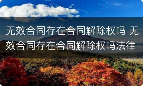 无效合同存在合同解除权吗 无效合同存在合同解除权吗法律规定