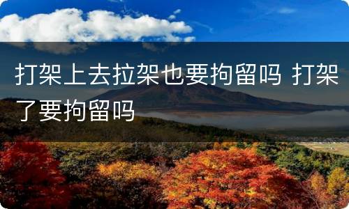 打架上去拉架也要拘留吗 打架了要拘留吗