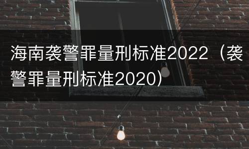 海南袭警罪量刑标准2022（袭警罪量刑标准2020）