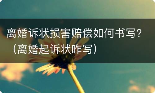 离婚诉状损害赔偿如何书写？（离婚起诉状咋写）