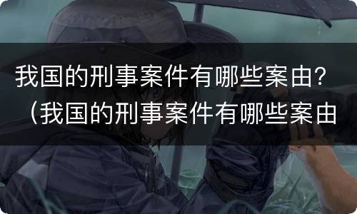我国的刑事案件有哪些案由？（我国的刑事案件有哪些案由和结果）