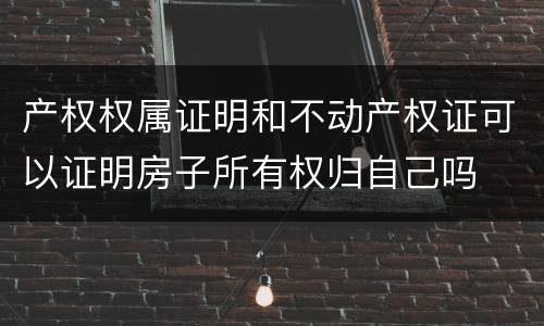 产权权属证明和不动产权证可以证明房子所有权归自己吗